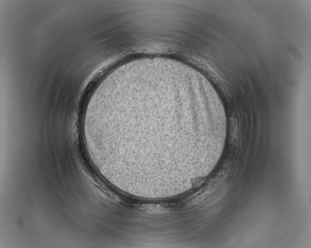 X0000110950392200907171633