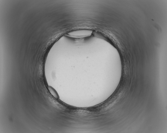 X0000110950393200907171633