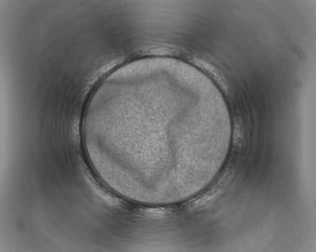 X0000110950394200907171633