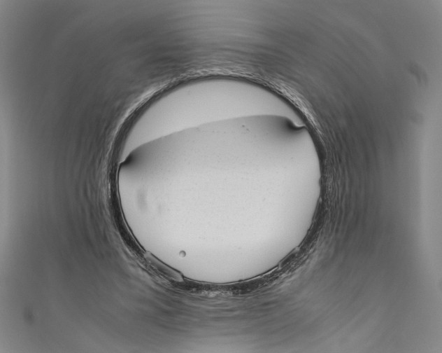 X0000110950395200907171633