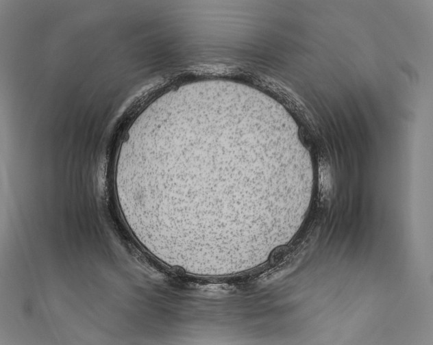 X0000110950396200907171633