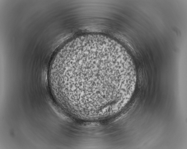X0000110950398200907171633