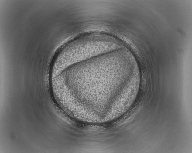 X0000110950399200907171633
