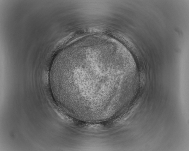 X0000110950401200907171633