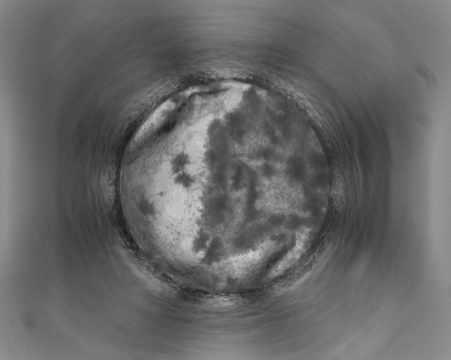 X0000110950402200907171633