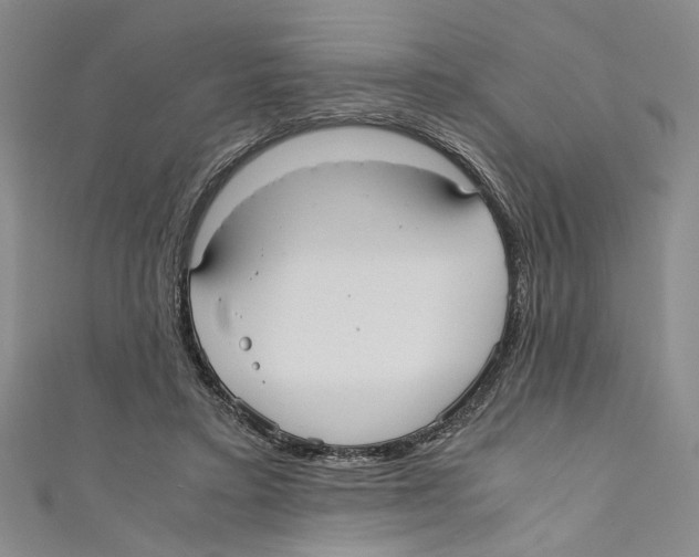 X0000110950403200907171633