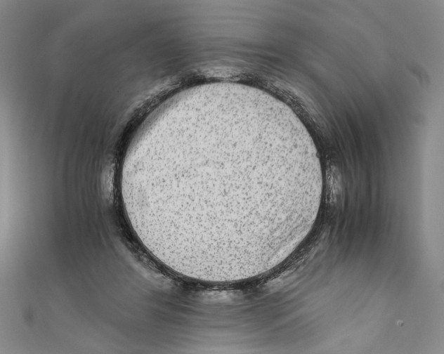 X0000110950404200907171633