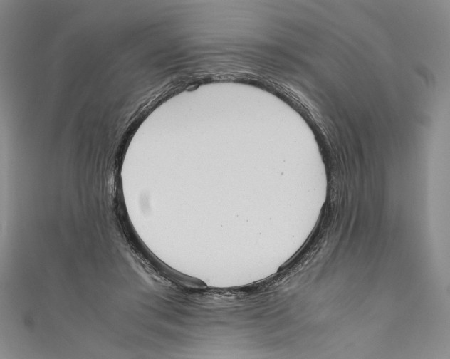 X0000110950405200907171633
