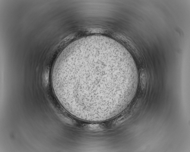 X0000110950406200907171633