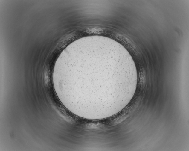 X0000110950408200907171633