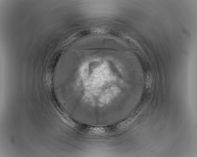 X0000110950409200907171633