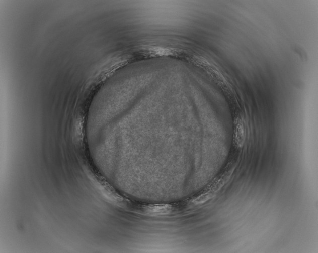 X0000110950410200907171633