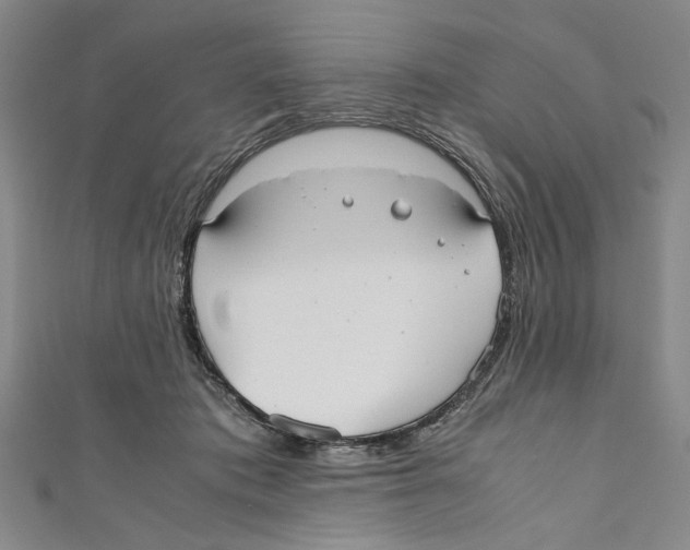 X0000110950413200907171632