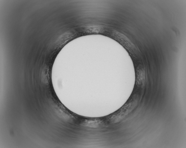 X0000110950414200907171632