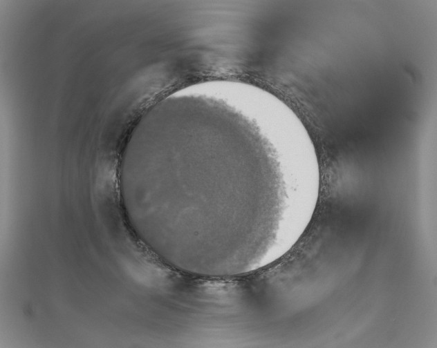 X0000110950415200907171632