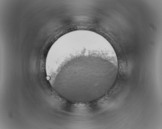 X0000110950419200907171632