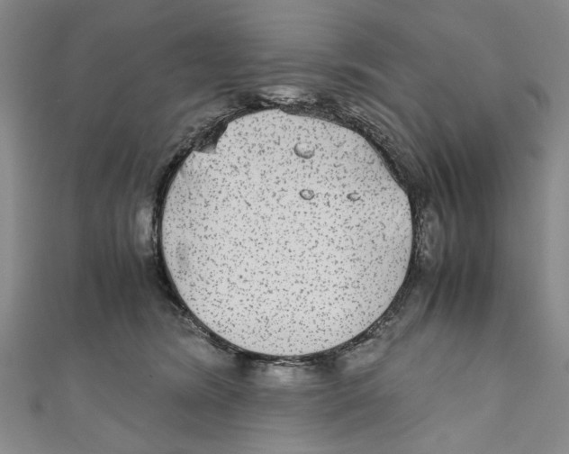 X0000110950420200907171632