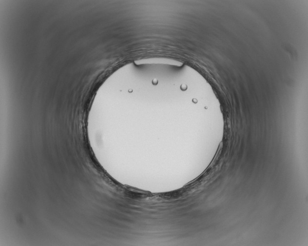 X0000110950423200907171632