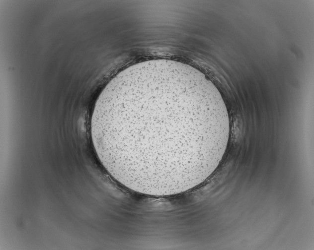 X0000110950424200907171632