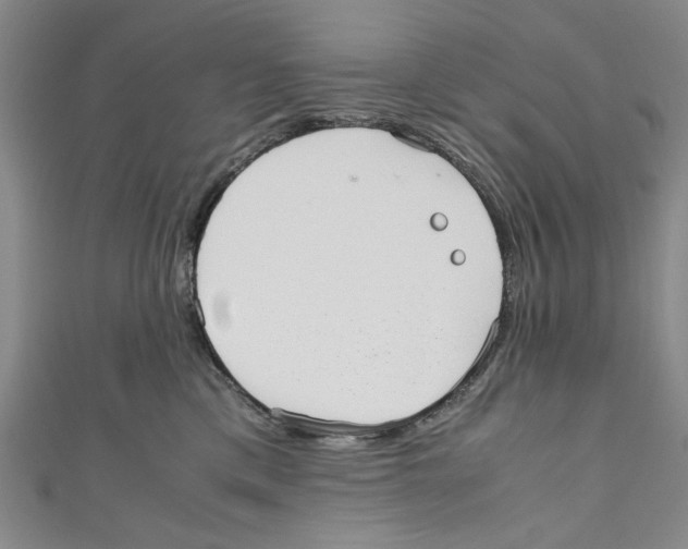 X0000110950425200907171632