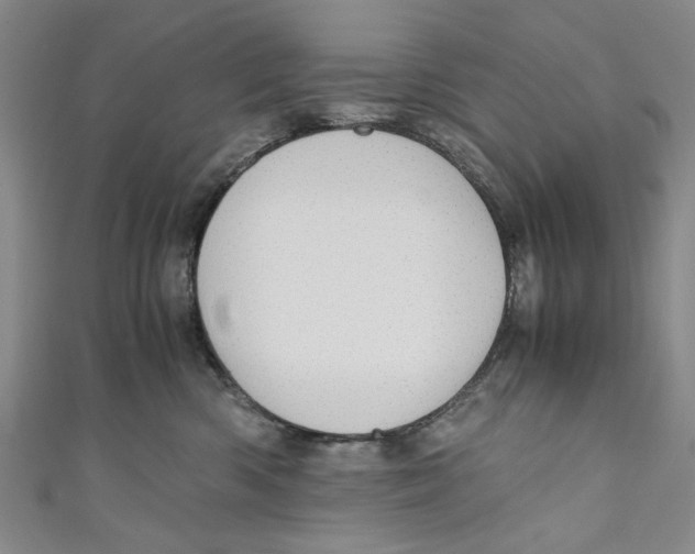 X0000110950426200907171632