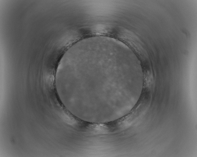 X0000110950427200907171632