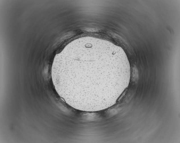X0000110950428200907171632
