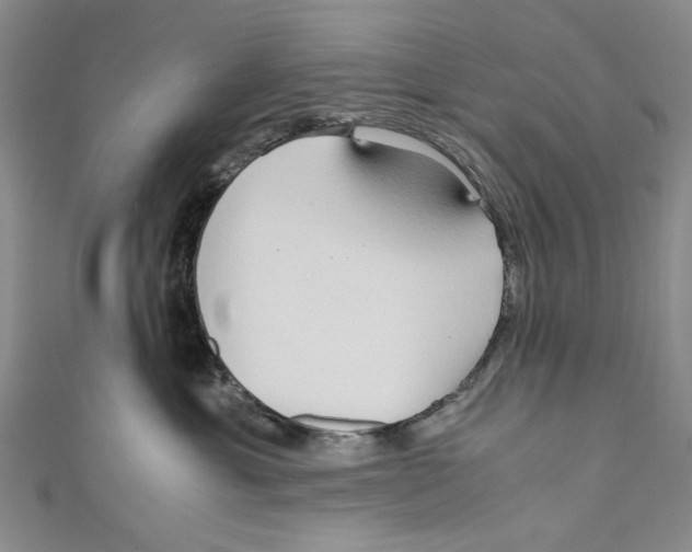 X0000110950429200907171632