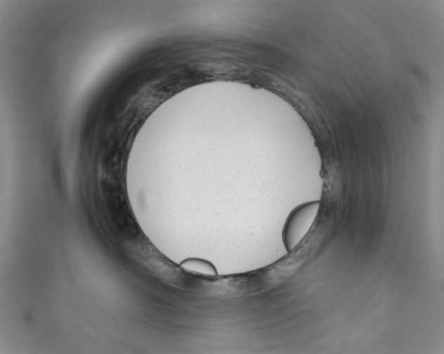 X0000110950430200907171632