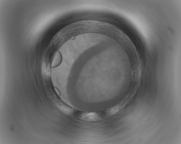 X0000110950431200907171632