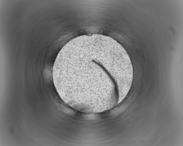 X0000110950432200907171632