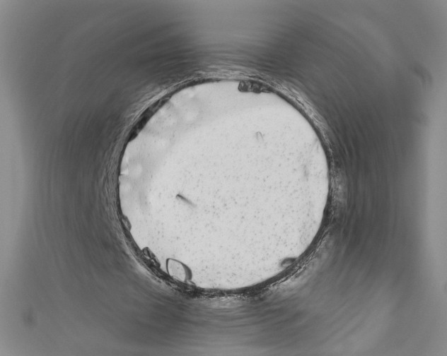 X0000110950433200907171632