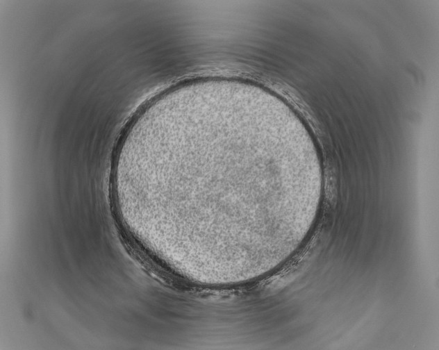 X0000110950434200907171632