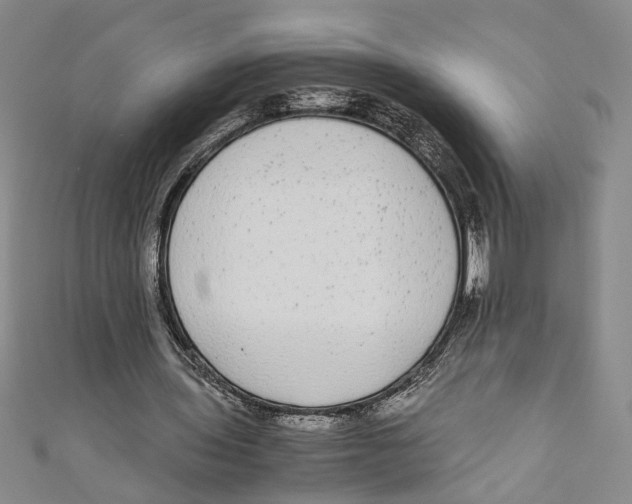 X0000110950435200907171632
