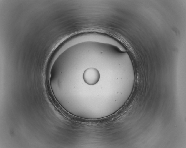 X0000110950436200907171632