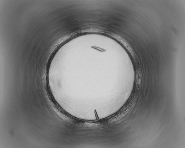 X0000110950437200907171632