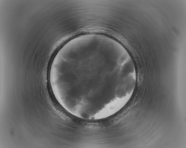 X0000110950438200907171632
