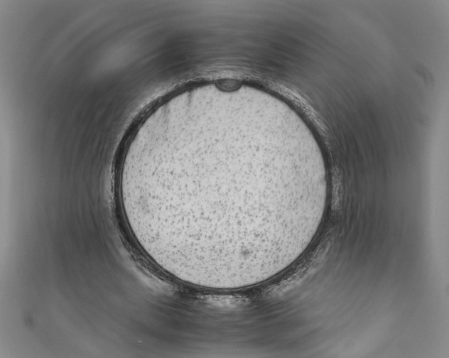 X0000110950439200907171632