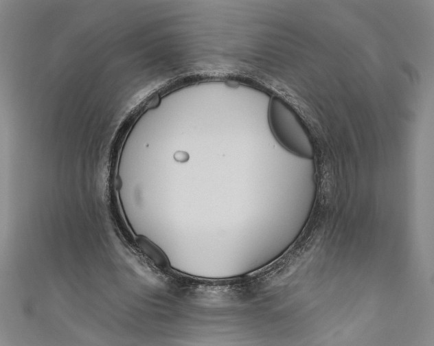 X0000110950440200907171632