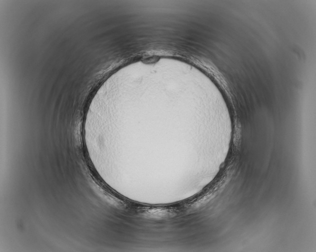 X0000110950441200907171632