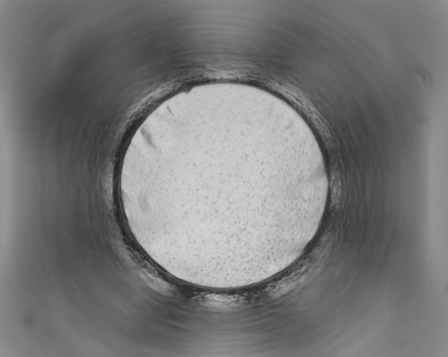X0000110950442200907171632