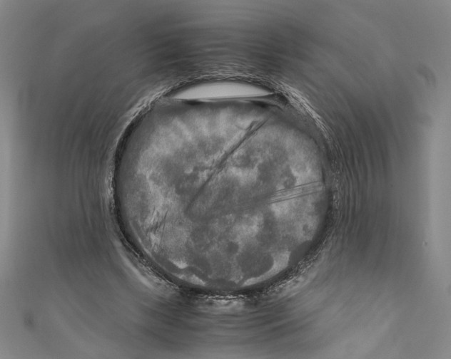 X0000110950443200907171632