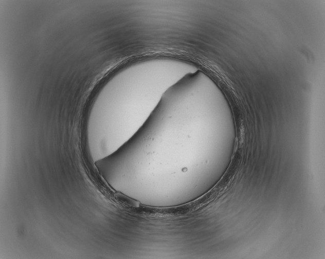 X0000110950444200907171632