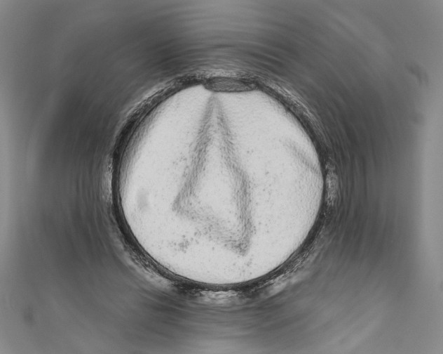 X0000110950446200907171632