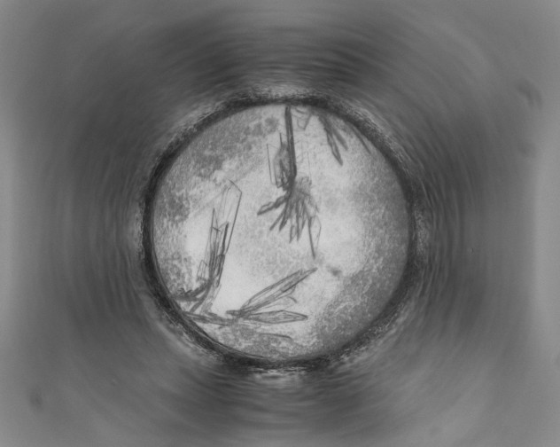 X0000110950447200907171632