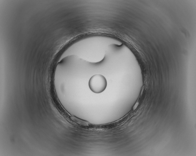 X0000110950448200907171632