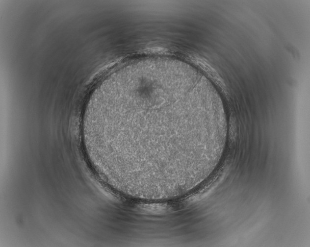 X0000110950449200907171632
