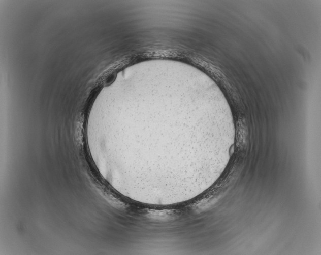 X0000110950450200907171632