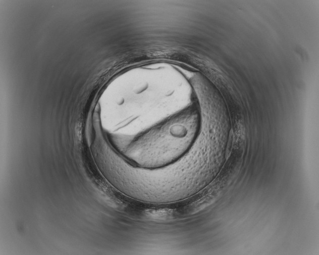 X0000110950452200907171632