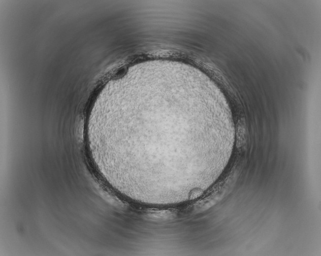 X0000110950454200907171632